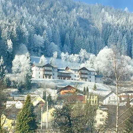 Panorama Lambach Appartament Murzzuschlag Luaran gambar